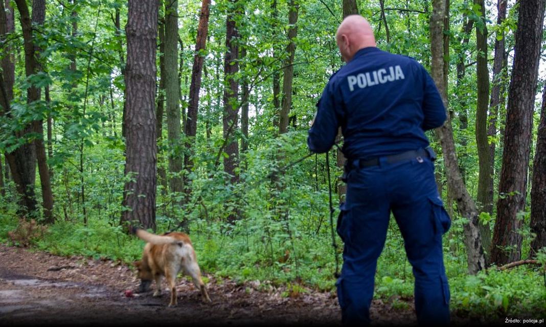 Bezpieczeństwo na Lubuskim Rynku Drogowym podczas „Wszystkich Świętych”